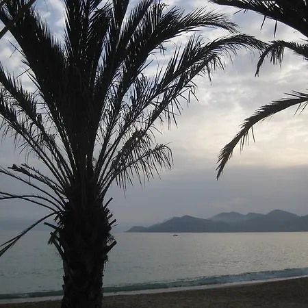 - View Cap Esterel カンヌ